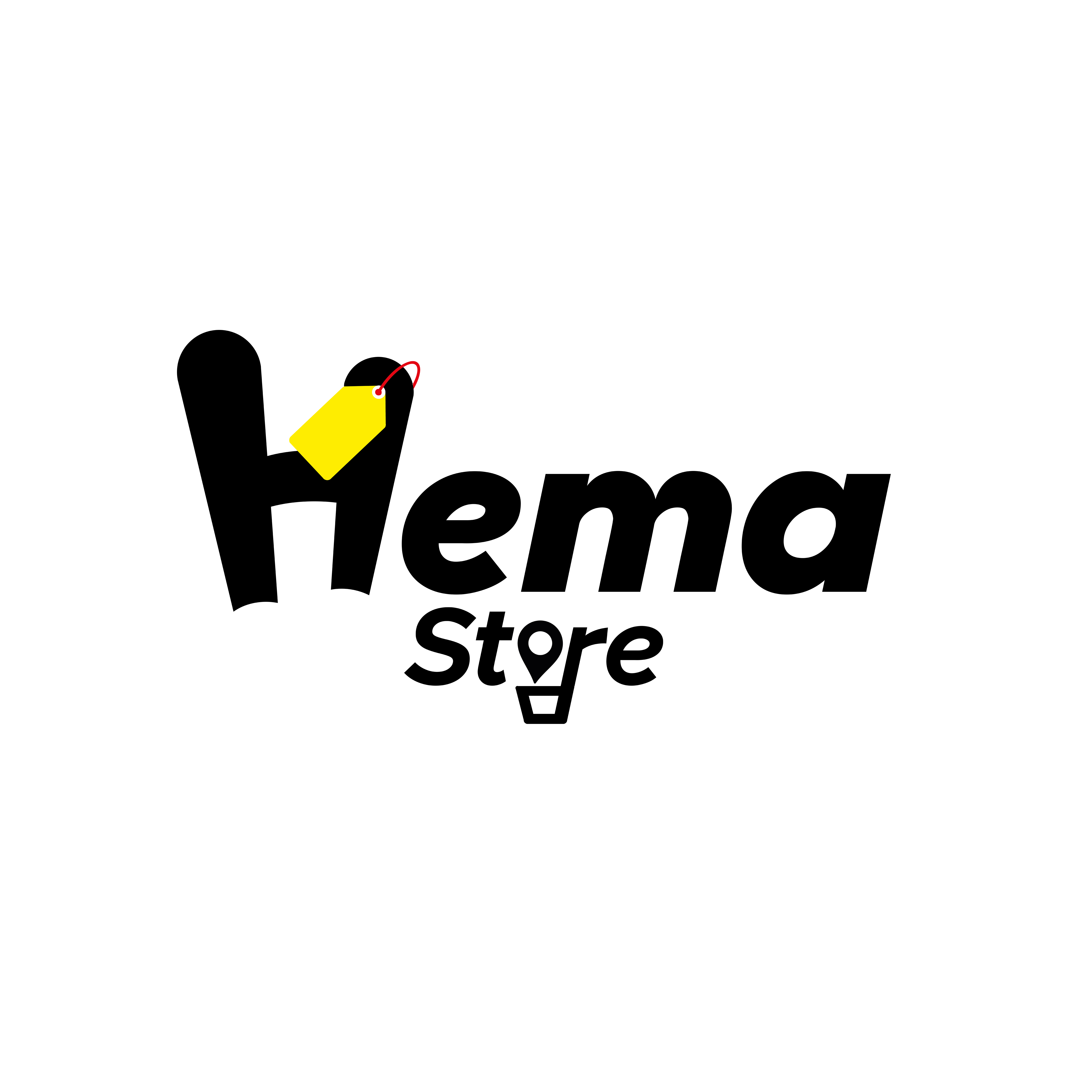 Conception Logo Hema Store
